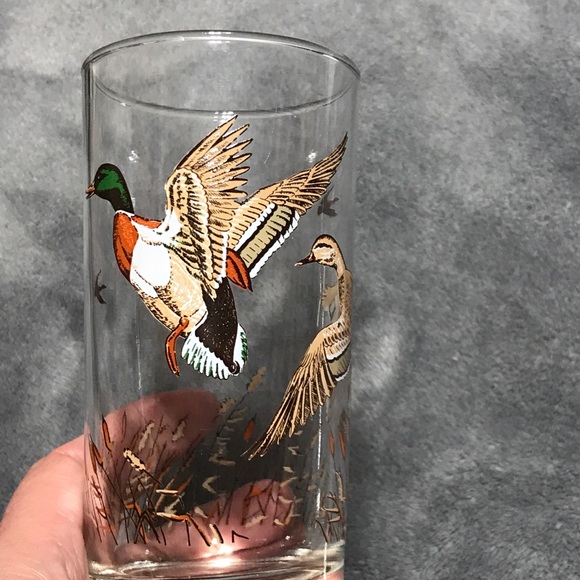 Vintage Drinking Glasses Waterfowl Mallard Duck Set of 4